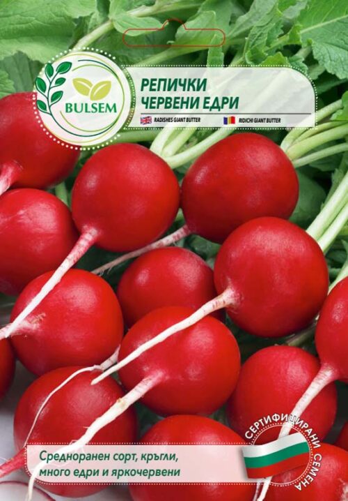Репички Червени едри