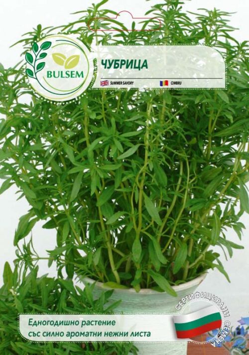 Чубрица