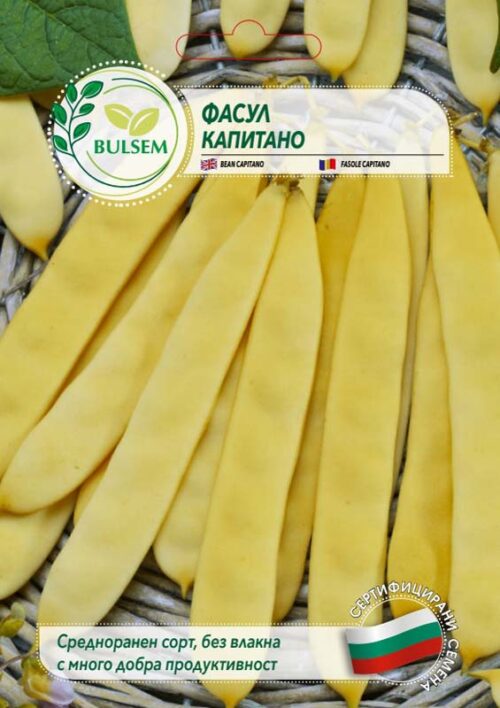 Фасул  Капитано