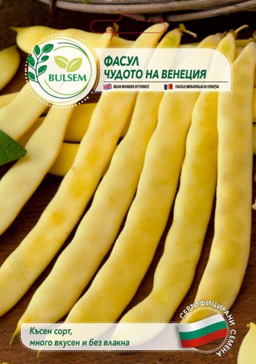 Фасул Чудото на Венеция