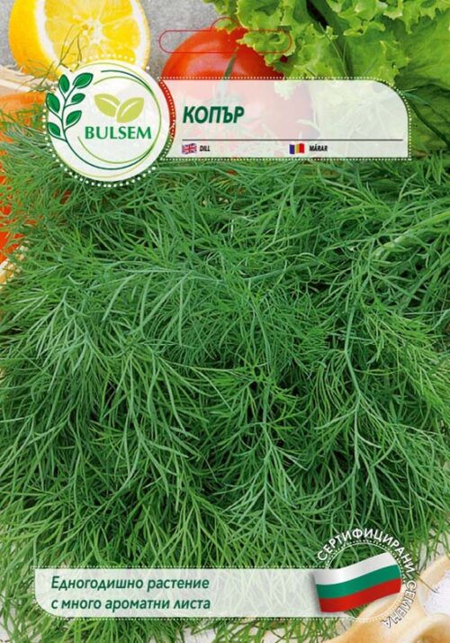 Копър Копър