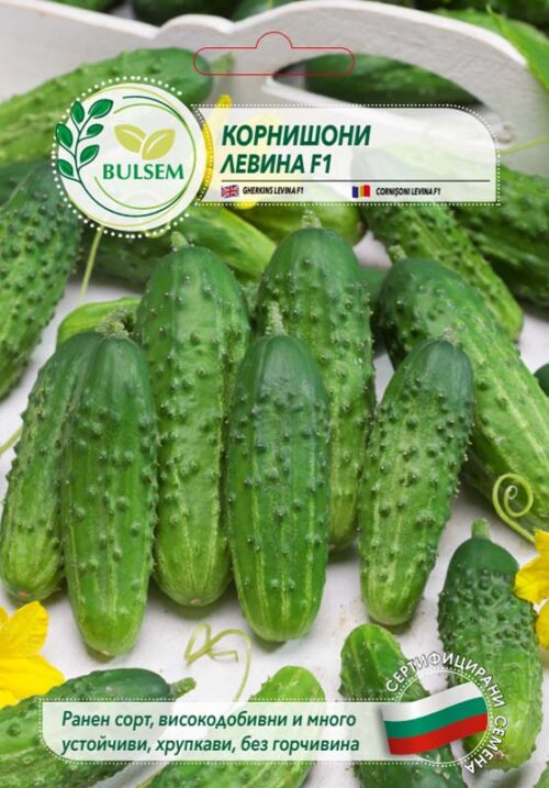 Корнишони Левина F1 - 5 гр.