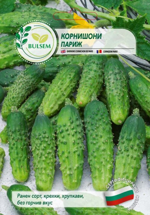 Корнишони Париж