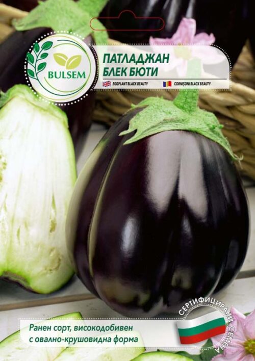 Патладжан Блек Бюти