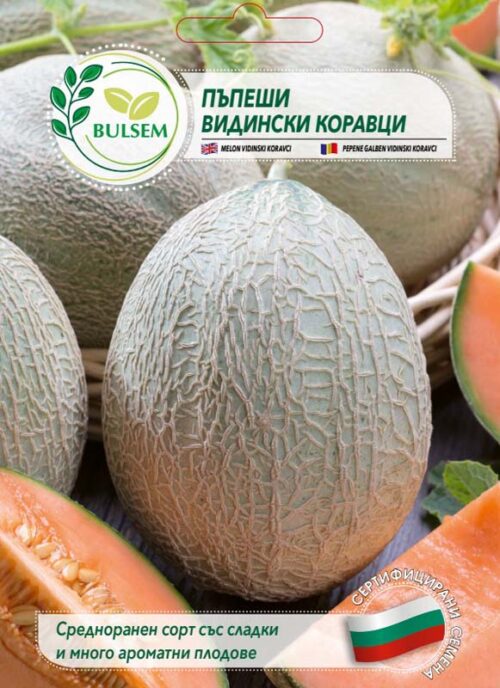 Пъпеши Видински коравци