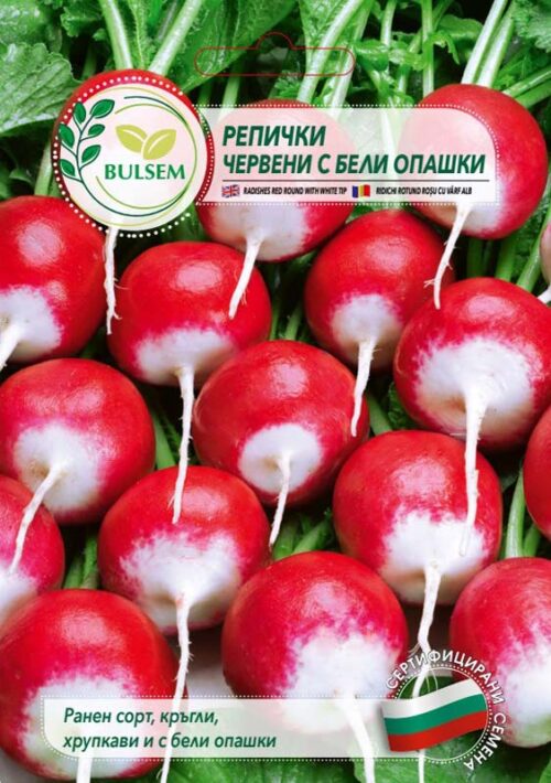 Репички Червени с бели опашки