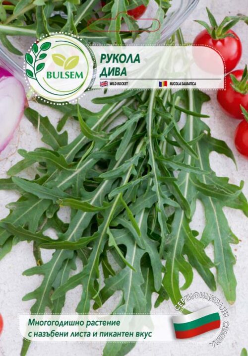 Рукола Дива