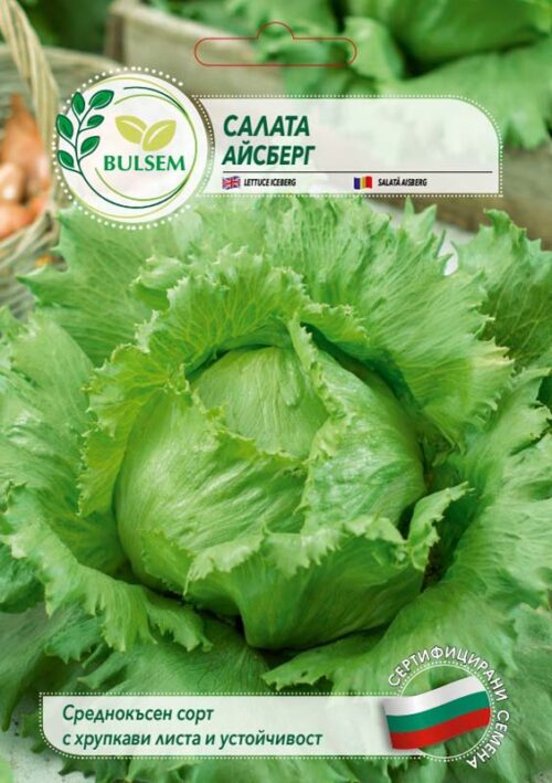 Салата Айсберг