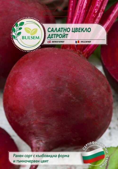 Салатно цвекло Детройт