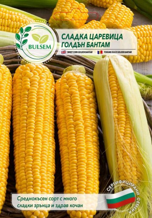 Сладка царевица Голдън бантам