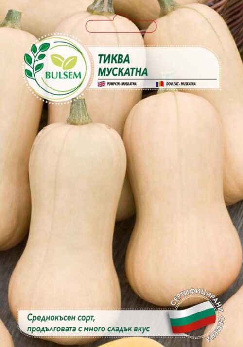 Тиква Мускатна