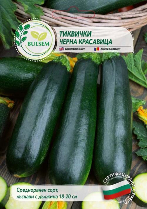 Тиквички Черна красавица