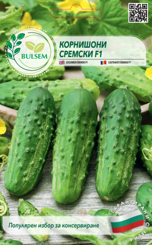 Корнишони СРЕМСКИ F1