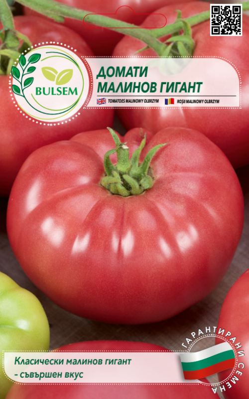 Домати МАЛИНОВ ГИГАНТ