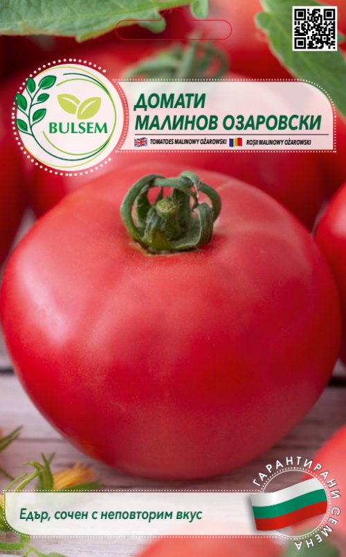 Домати МАЛИНОВ ОЗАРОВСКИ