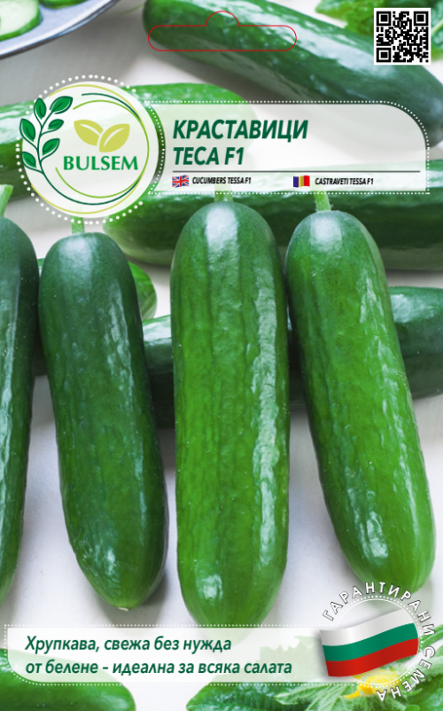 Краставици ТЕСА F1