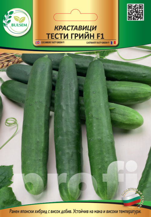 Краставици ТЕСТИ ГРИЙН F1