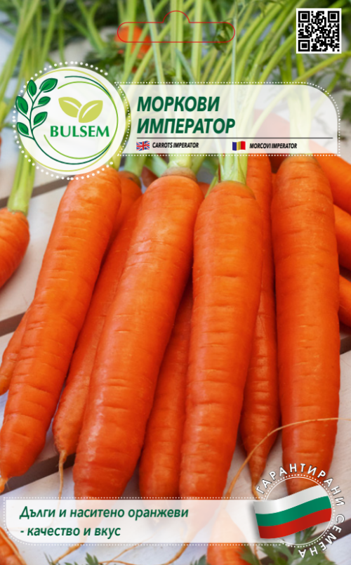 Моркови ИМПЕРАТОР