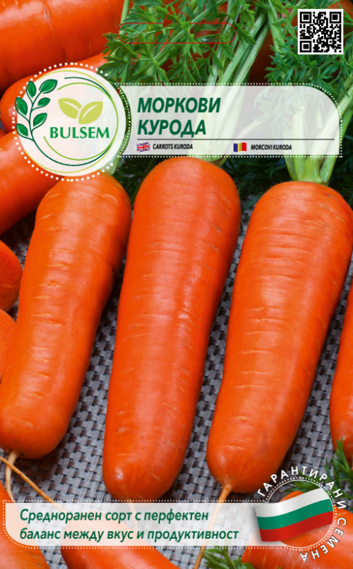 Моркови КУРОДА