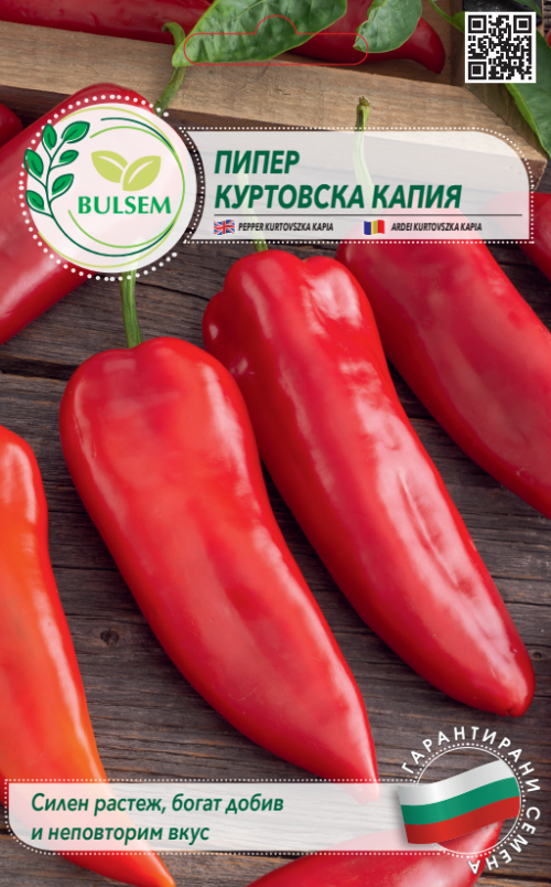 Пипер КУРТОВСКА КАПИЯ