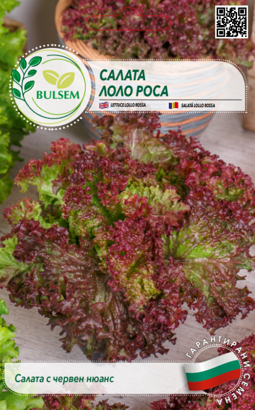 Салата ЛОЛО РОСА