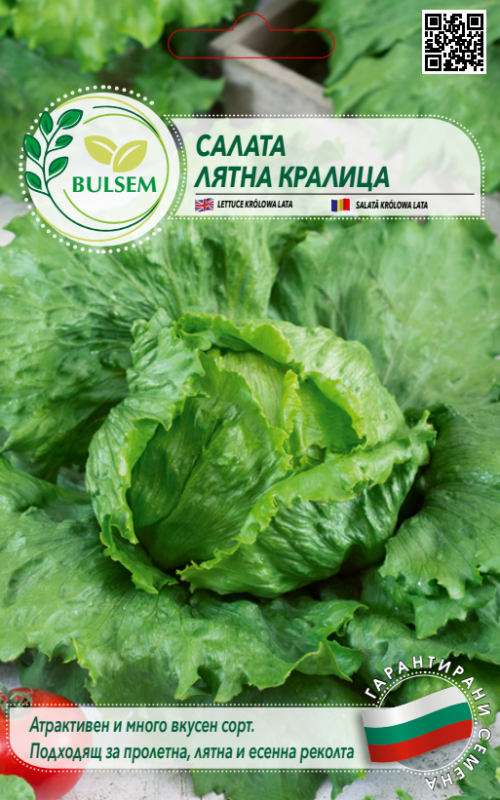 Салата ЛЯТНА КРАЛИЦА