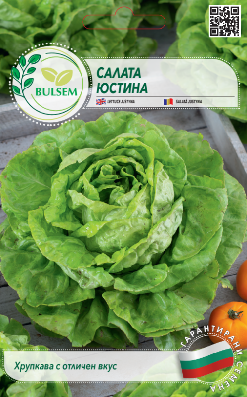 Салата ЮСТИНА