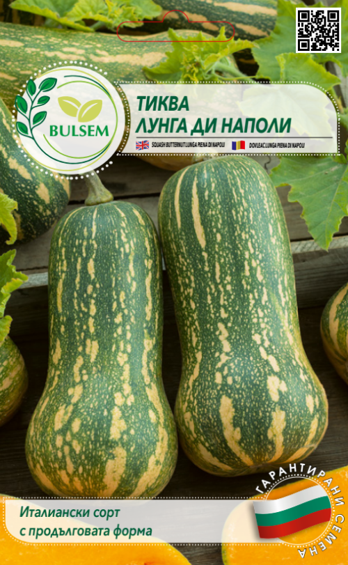 Тиква ЛУНГА ДИ НАПОЛИ