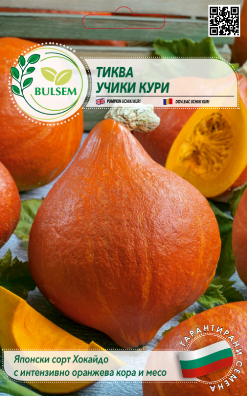 Тиква УЧИКИ КУРИ
