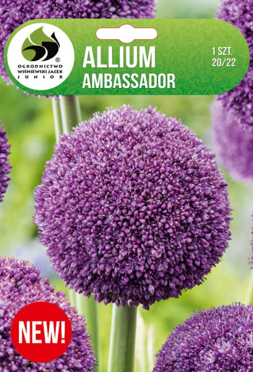 Декоративен лук Ambassador - 1бр.