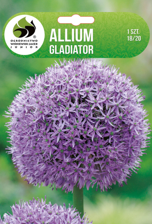 Декоративен лук Gladiator - 1бр.