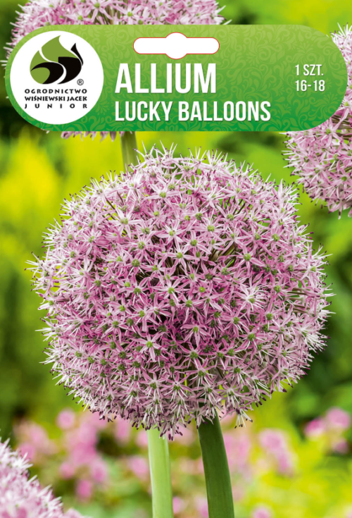 Декоративен лук Lucky Ballons - 1бр.