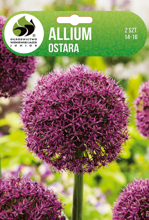Декоративен лук Ostara - 2бр.