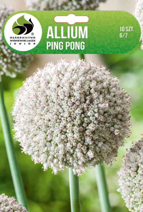 Декоративен лук Ping Pong - 10бр.