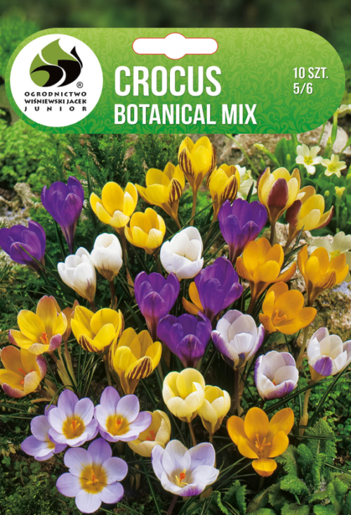 Крокус Botanical Mix - 10бр.