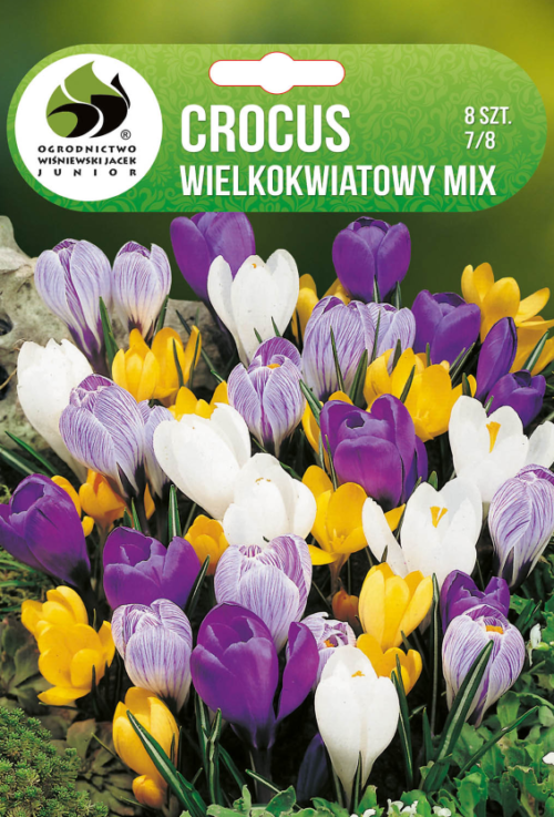 Крокус MIX - 8бр.