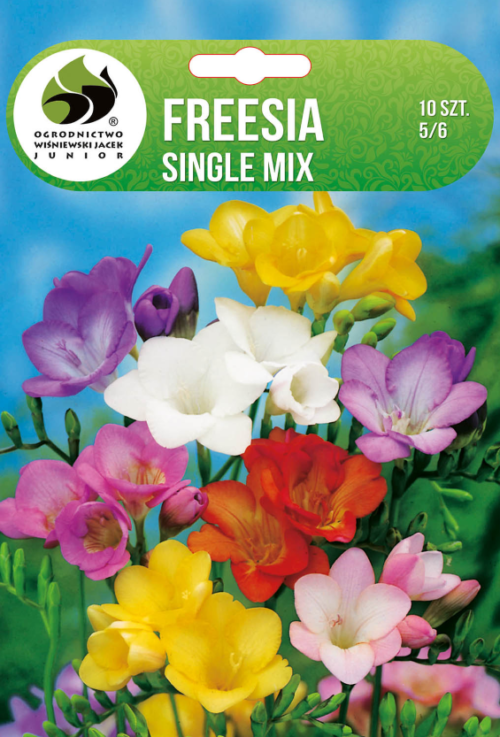 Фрезия Single Mix - 10бр.